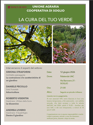 La cura del tuo verde
